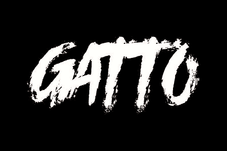  DJ Gatto 