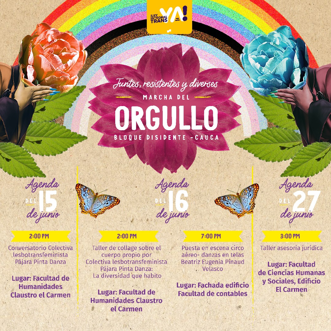 Marcha Del Orgullo Bloque Disidente Cauca 2023