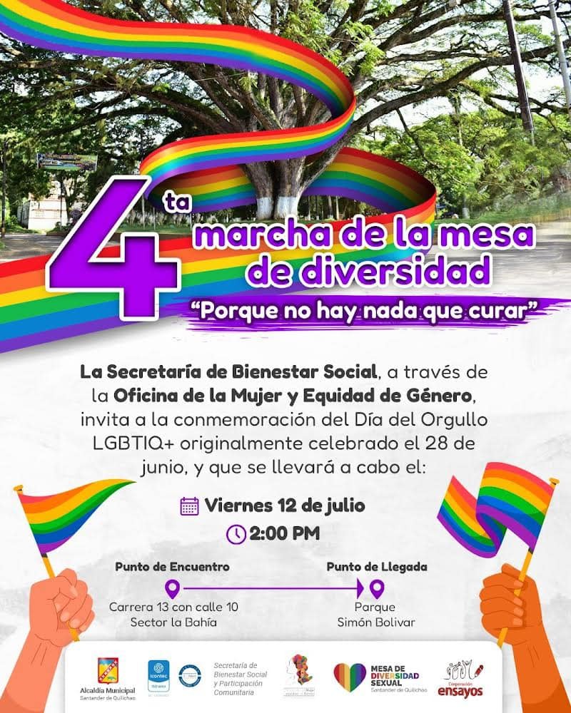 4 Marcha De La Mesa De Diversidad Santander de Quilichao 2024