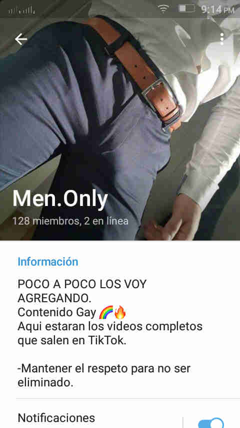 grupos gay porno telegram